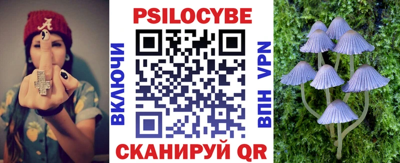где можно купить наркотик  hydra ТОР  Псилоцибиновые грибы Psilocybine cubensis  Алзамай 